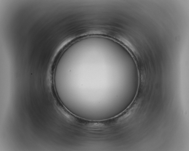 X0000115621119200911171310