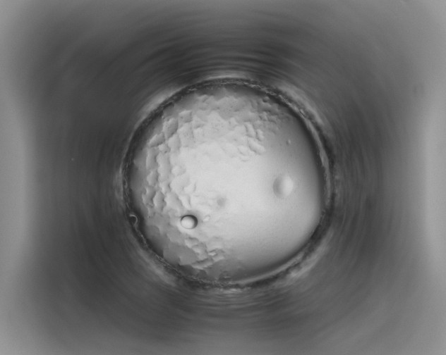 X0000115621121200911171310