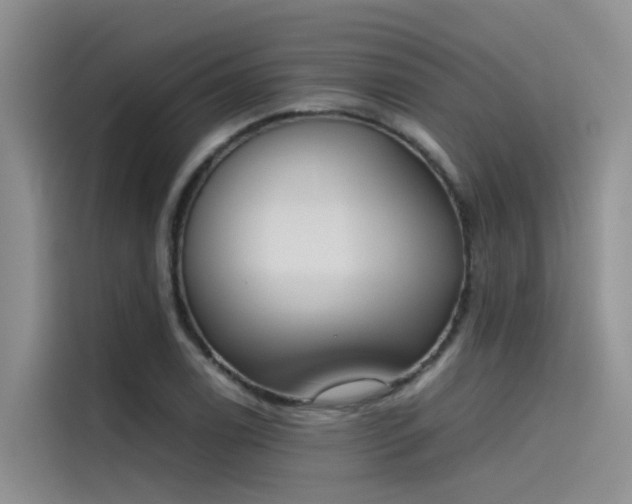 X0000115621122200911171310