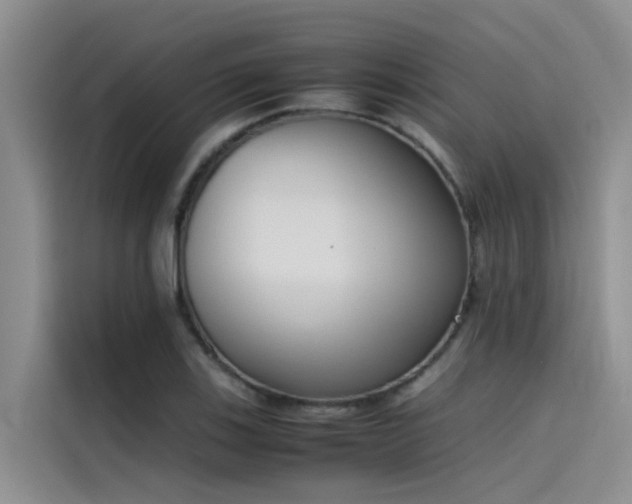 X0000115621123200911171310