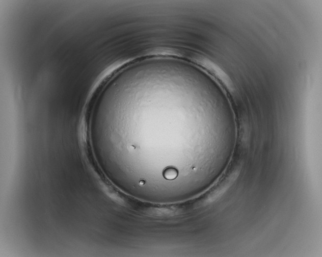 X0000115621125200911171310