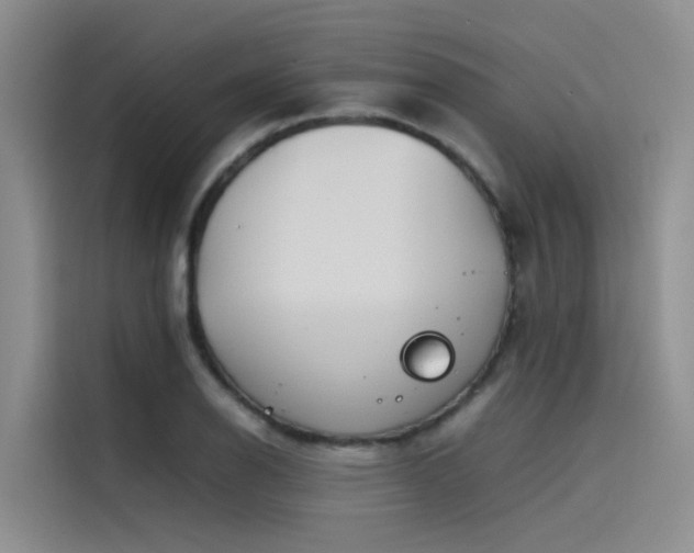 X0000115621126200911171310