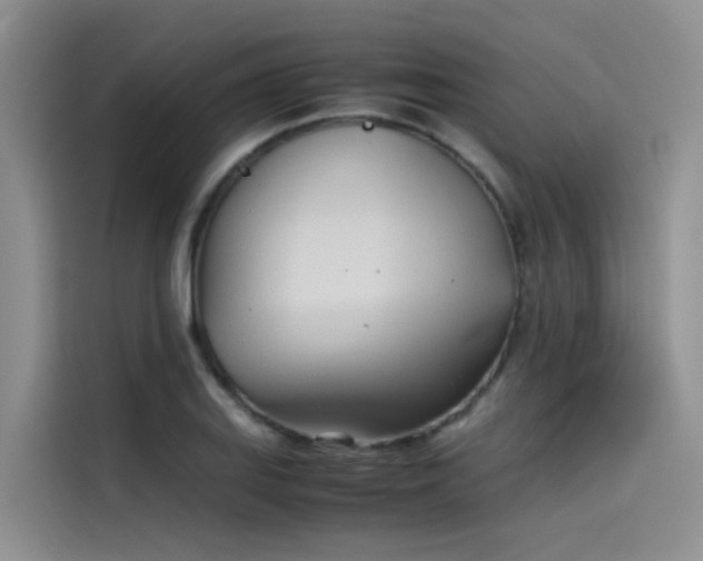 X0000115621127200911171310