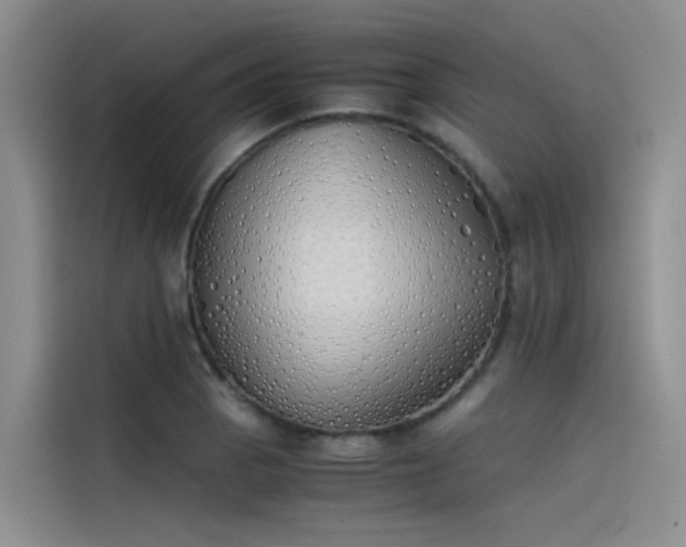 X0000115621129200911171310