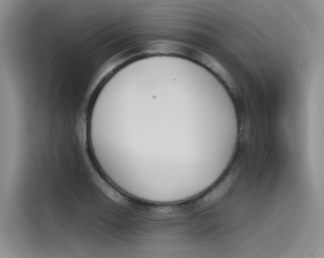 X0000115621130200911171310