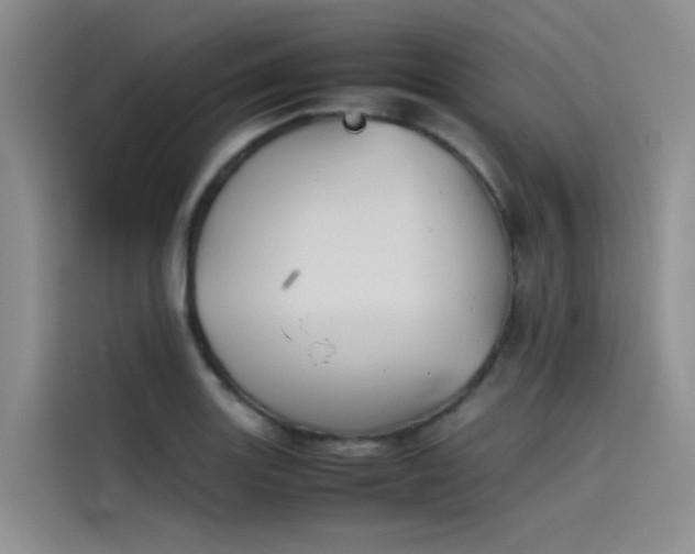 X0000115621131200911171310