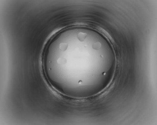 X0000115621133200911171310