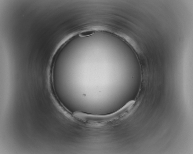 X0000115621134200911171310