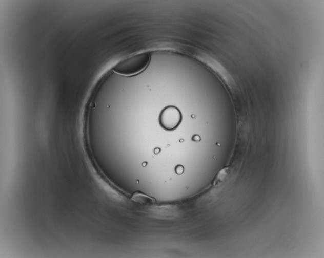 X0000115621135200911171310