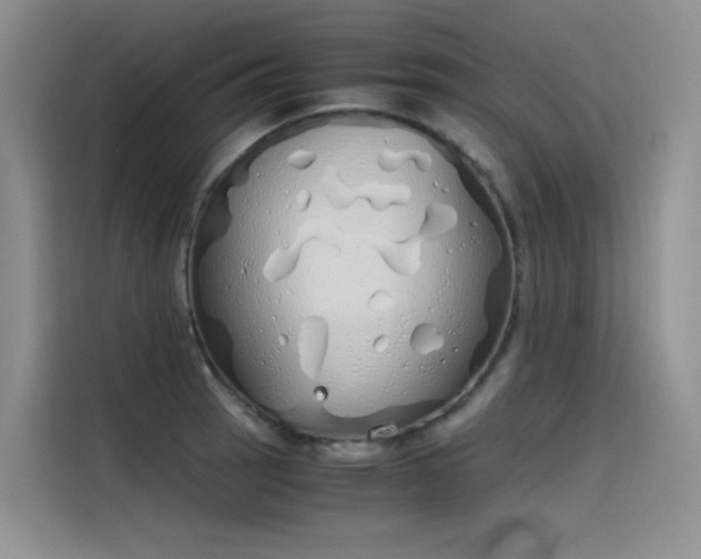 X0000115621137200911171310