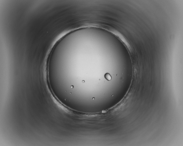 X0000115621143200911171311