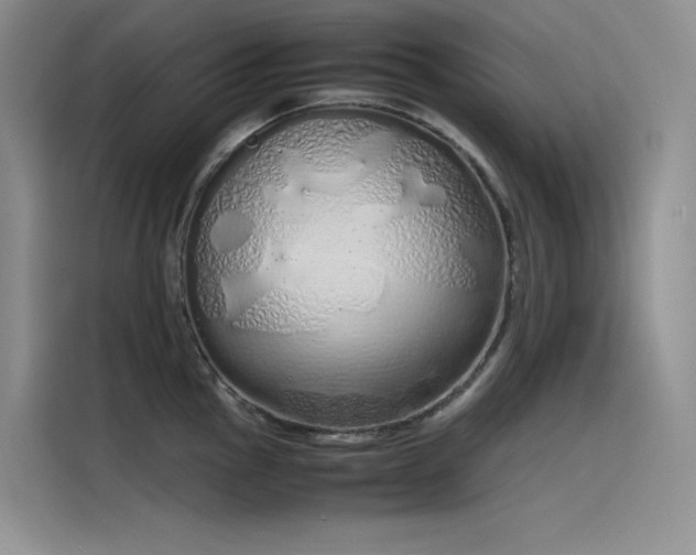 X0000115621145200911171311