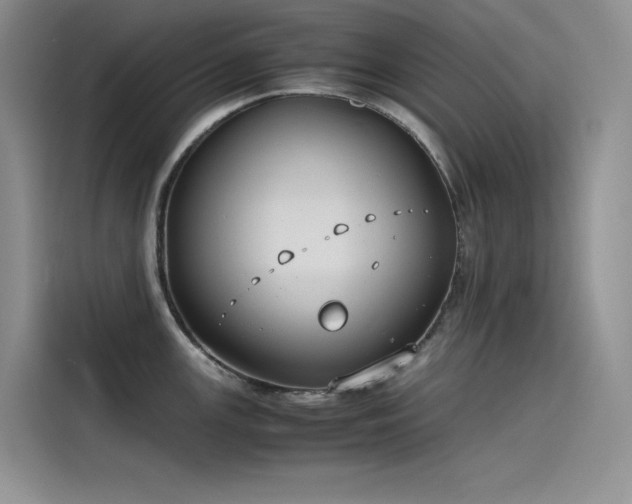 X0000115621147200911171311