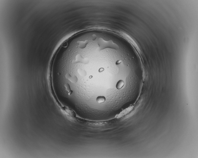 X0000115621149200911171311