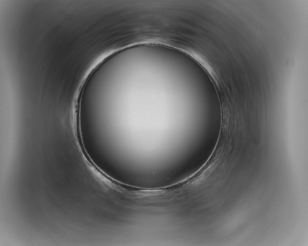 X0000115621151200911171311