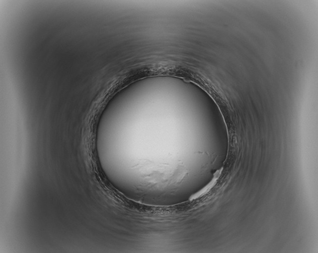 X0000115621153200911171310