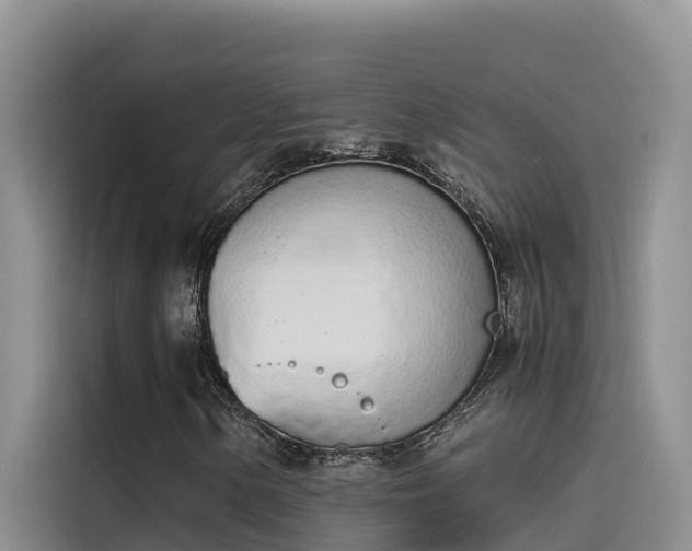 X0000115621154200911171310