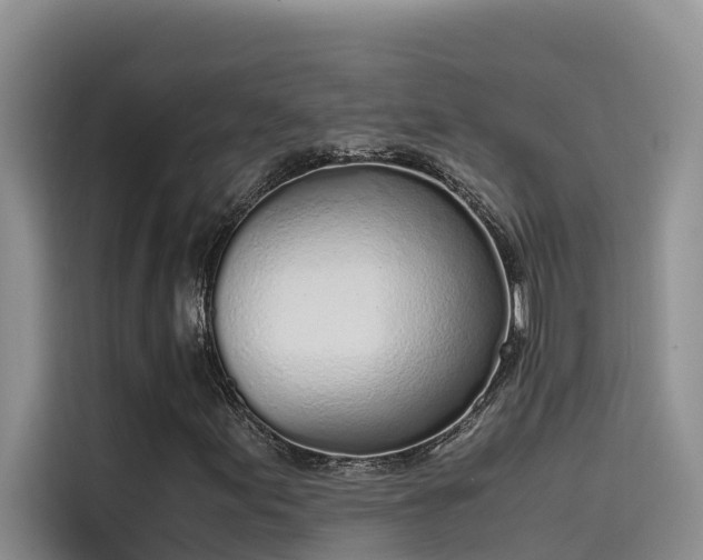 X0000115621155200911171310