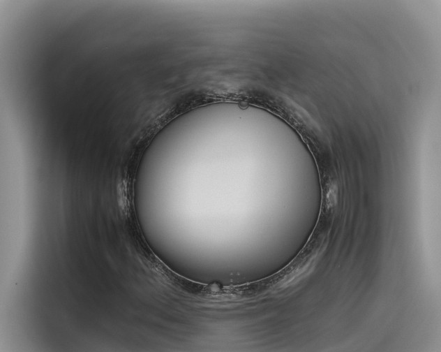 X0000115621156200911171310