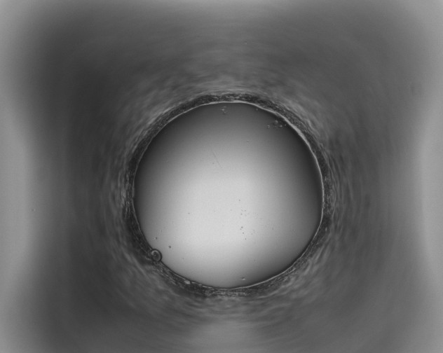 X0000115621157200911171310