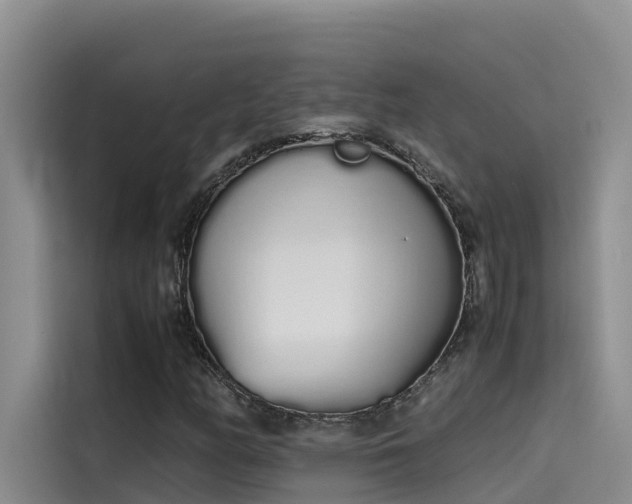 X0000115621158200911171310