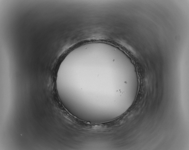 X0000115621160200911171310