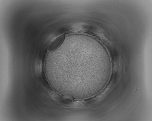 X0000115621161200911171310