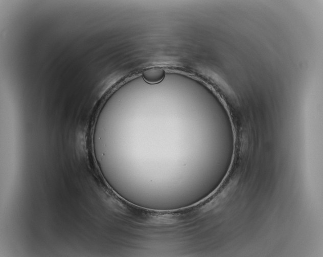 X0000115621162200911171310