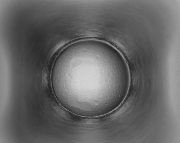 X0000115621163200911171310