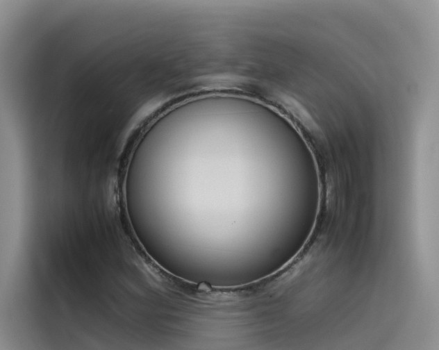 X0000115621164200911171310