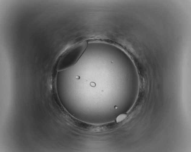 X0000115621165200911171310