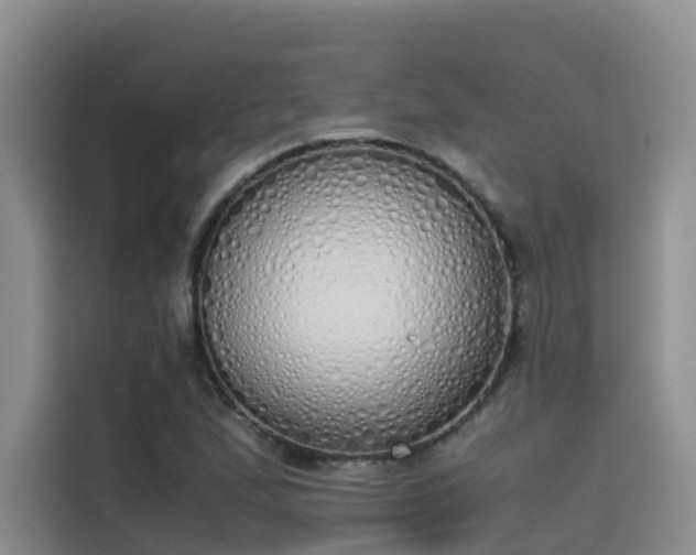 X0000115621167200911171310