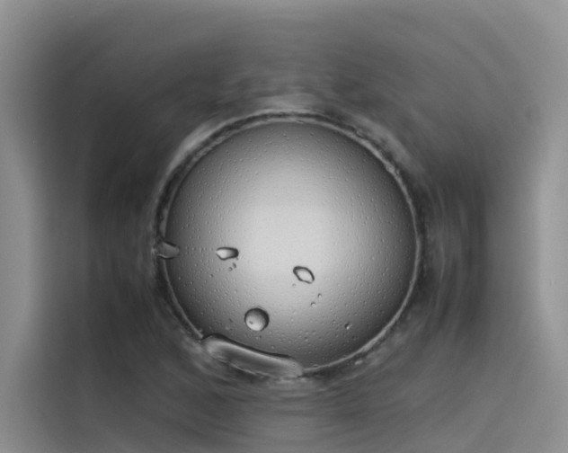 X0000115621168200911171310