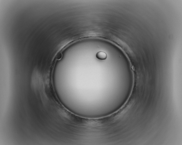 X0000115621170200911171310