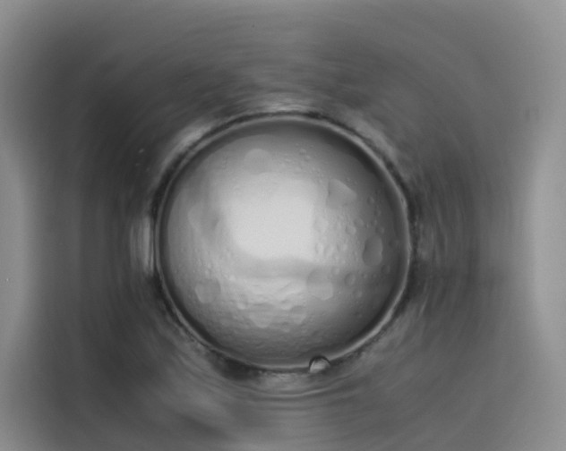 X0000115621171200911171310