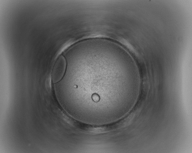 X0000115621173200911171310