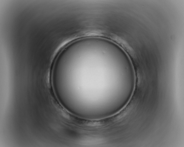 X0000115621174200911171310