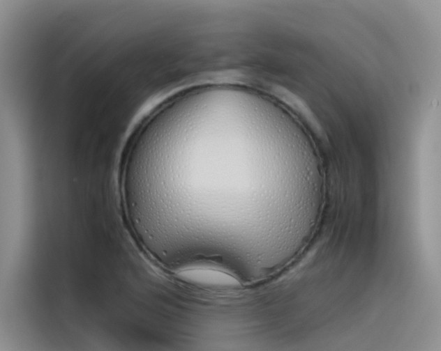 X0000115621176200911171310