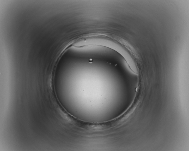 X0000115621177200911171310