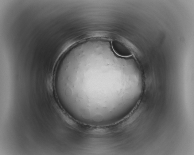 X0000115621178200911171310