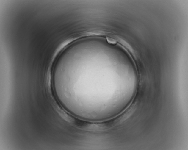 X0000115621179200911171310