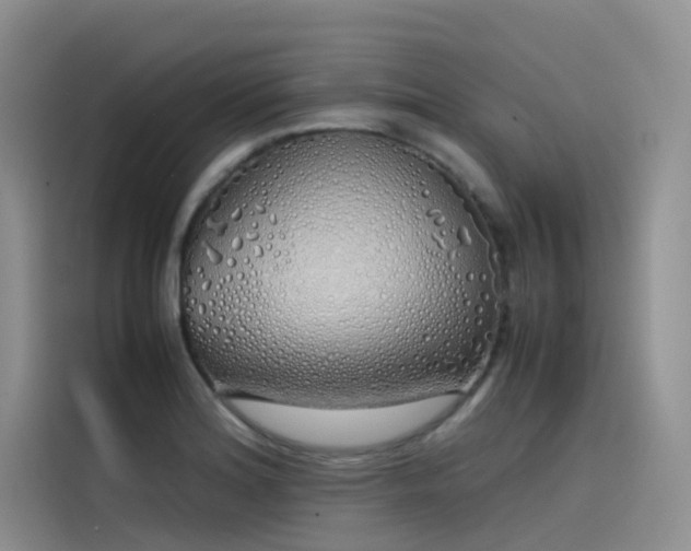 X0000115621180200911171310