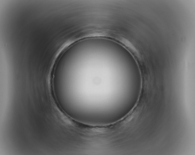 X0000115621181200911171310