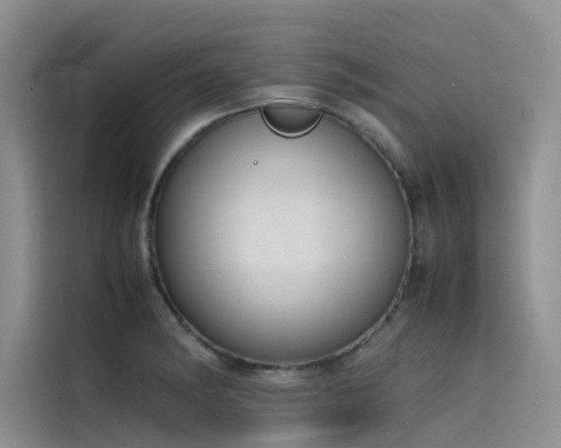 X0000115621182200911171310