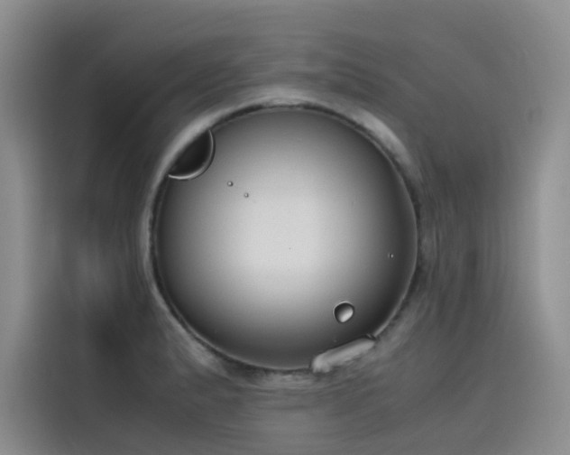 X0000115621183200911171310