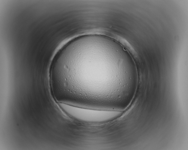 X0000115621184200911171310