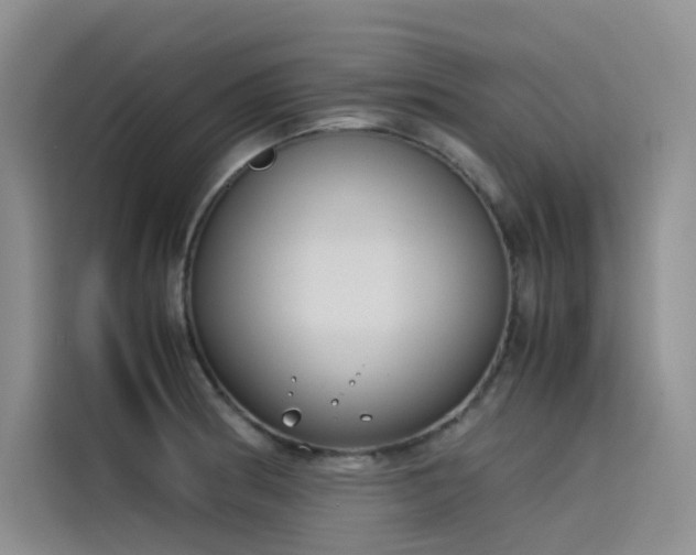 X0000115621186200911171310