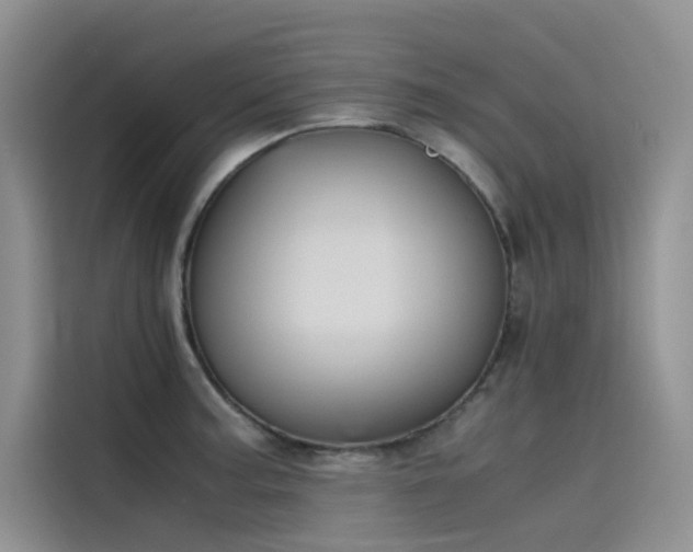 X0000115621187200911171310