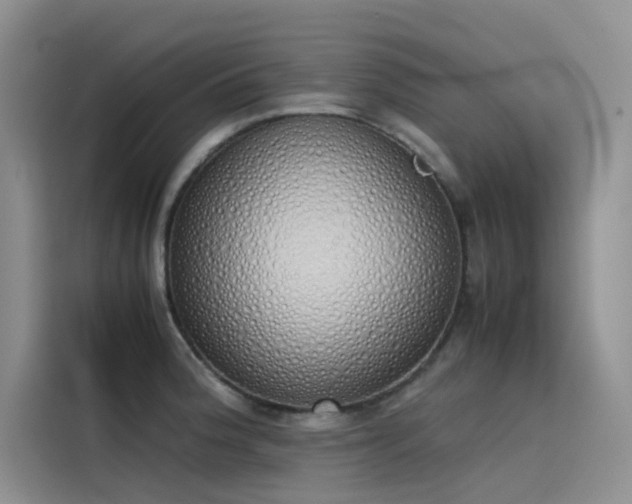 X0000115621188200911171310