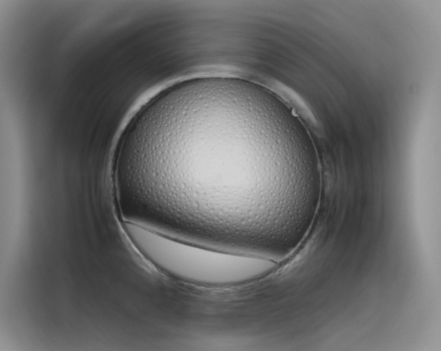 X0000115621192200911171309